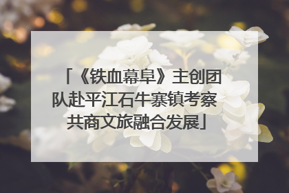 《铁血幕阜》主创团队赴平江石牛寨镇考察 共商文旅融合发展