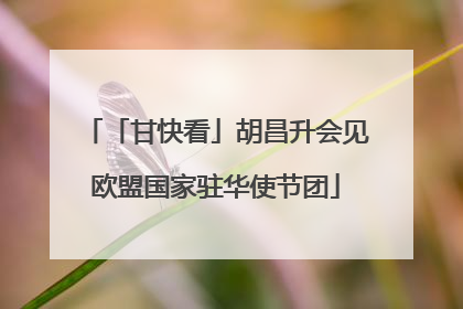 「甘快看」胡昌升会见欧盟国家驻华使节团