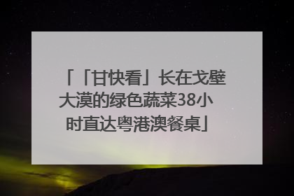 「甘快看」长在戈壁大漠的绿色蔬菜38小时直达粤港澳餐桌