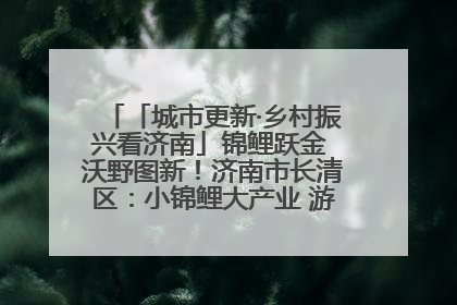 「城市更新·乡村振兴看济南」锦鲤跃金 沃野图新！济南市长清区：小锦鲤大产业 游出农旅新风景