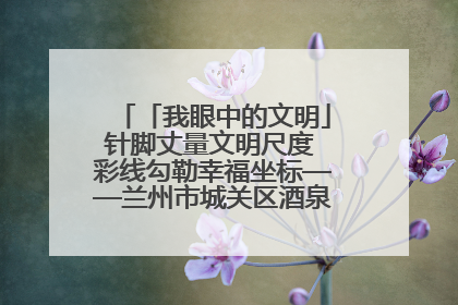 「我眼中的文明」针脚丈量文明尺度 彩线勾勒幸福坐标——兰州市城关区酒泉路街道办事处
