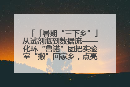 「暑期“三下乡”」从试剂瓶到数据流——化环“鲁诺”团把实验室“搬”回家乡，点亮桑梓求知路