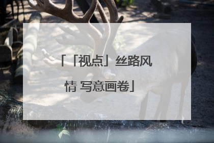 「视点」丝路风情 写意画卷