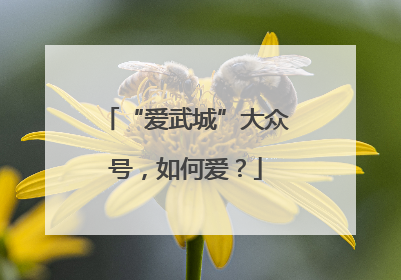 “爱武城”大众号，如何爱？