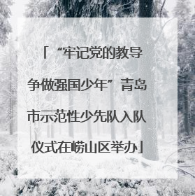 “牢记党的教导 争做强国少年”青岛市示范性少先队入队仪式在崂山区举办