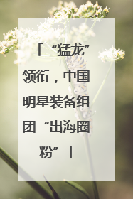 “猛龙”领衔，中国明星装备组团“出海圈粉”