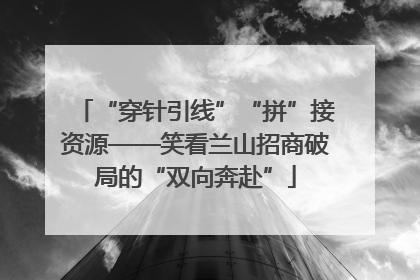 “穿针引线”“拼”接资源——笑看兰山招商破局的“双向奔赴”
