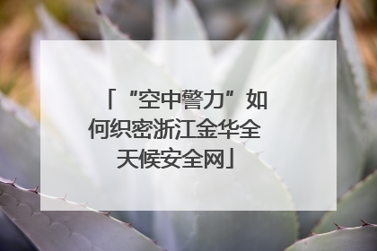 “空中警力”如何织密浙江金华全天候安全网