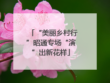 “美丽乡村行”昭通专场“演”出新花样