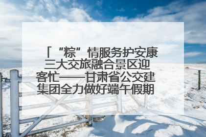 “粽”情服务护安康 三大交旅融合景区迎客忙——甘肃省公交建集团全力做好端午假期景区运营工作