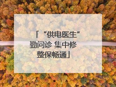 “供电医生”勤问诊 集中修整保畅通