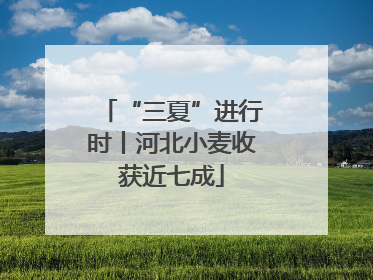 “三夏”进行时丨河北小麦收获近七成