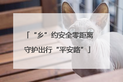 “乡”约安全零距离 守护出行“平安路”