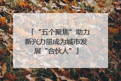 “五个聚焦”助力新兴力量成为城市发展“合伙人”