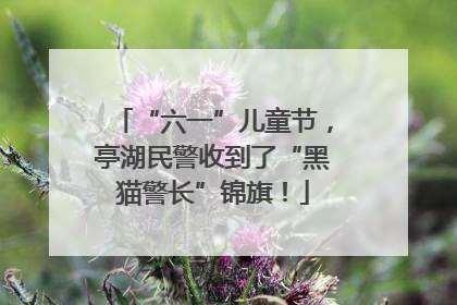 “六一”儿童节，亭湖民警收到了“黑猫警长”锦旗！
