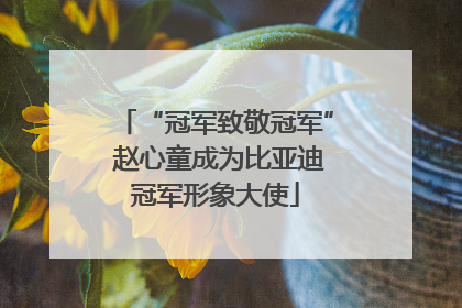 “冠军致敬冠军” 赵心童成为比亚迪冠军形象大使