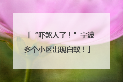 “吓煞人了！”宁波多个小区出现白蚁！