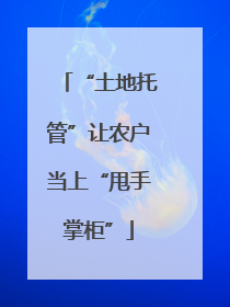 “土地托管”让农户当上“甩手掌柜”