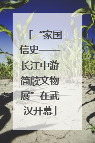 “家国信史——长江中游简牍文物展”在武汉开幕