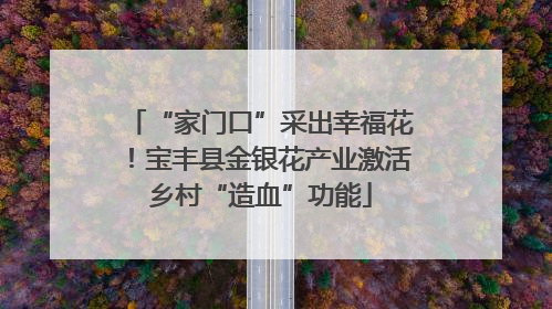 “家门口”采出幸福花！宝丰县金银花产业激活乡村“造血”功能