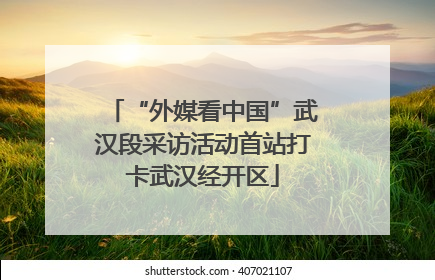 “外媒看中国”武汉段采访活动首站打卡武汉经开区