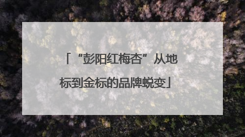 “彭阳红梅杏”从地标到金标的品牌蜕变