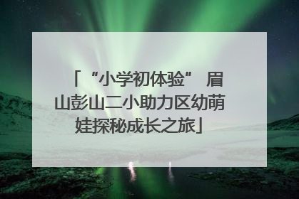“小学初体验” 眉山彭山二小助力区幼萌娃探秘成长之旅