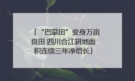 “巴掌田”变身万亩良田 四川合江耕地面积连续三年净增长