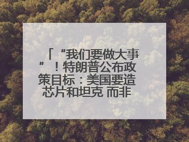 “我们要做大事”！特朗普公布政策目标：美国要造芯片和坦克 而非T恤袜子