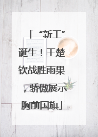 “新王”诞生！王楚钦战胜雨果，骄傲展示胸前国旗