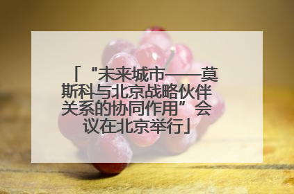 “未来城市——莫斯科与北京战略伙伴关系的协同作用”会议在北京举行