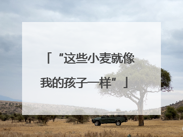“这些小麦就像我的孩子一样”