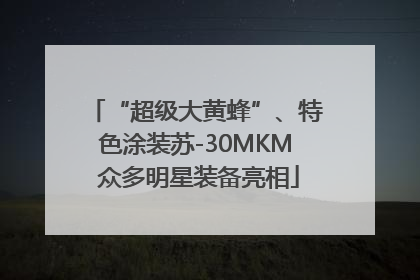 “超级大黄蜂”、特色涂装苏-30MKM 众多明星装备亮相