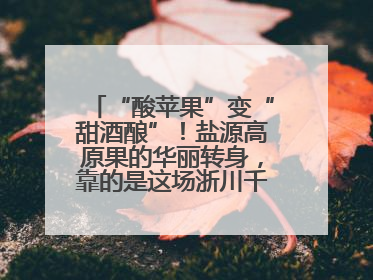 “酸苹果”变“甜酒酿”！盐源高原果的华丽转身，靠的是这场浙川千里“联姻”