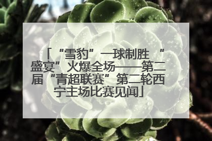 “雪豹”一球制胜 “盛宴”火爆全场——第二届“青超联赛”第二轮西宁主场比赛见闻