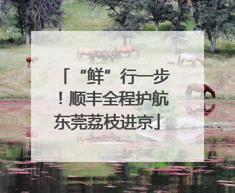 “鲜”行一步！顺丰全程护航东莞荔枝进京