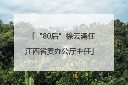 “80后”徐云涌任江西省委办公厅主任
