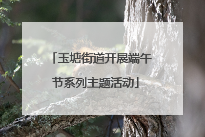 玉塘街道开展端午节系列主题活动