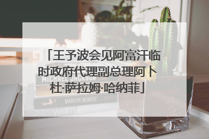 王予波会见阿富汗临时政府代理副总理阿卜杜·萨拉姆·哈纳菲