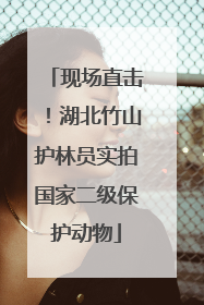 现场直击！湖北竹山护林员实拍国家二级保护动物