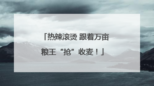 热辣滚烫 跟着万亩粮王“抢”收麦！