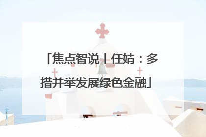 焦点智说丨任婧：多措并举发展绿色金融
