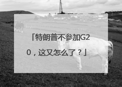 特朗普不参加G20，这又怎么了？