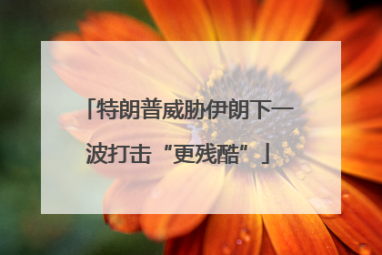 特朗普威胁伊朗下一波打击“更残酷”