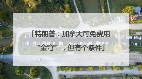 特朗普：加拿大可免费用“金穹”，但有个条件