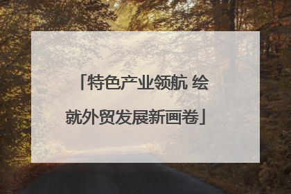 特色产业领航 绘就外贸发展新画卷