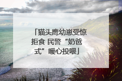 猫头鹰幼崽受惊拒食 民警“奶爸式”暖心投喂