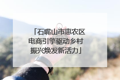 石嘴山市惠农区电商引擎驱动乡村振兴焕发新活力