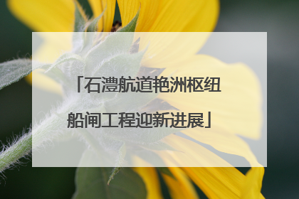 石澧航道艳洲枢纽船闸工程迎新进展