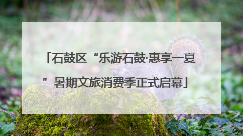 石鼓区“乐游石鼓·惠享一夏”暑期文旅消费季正式启幕